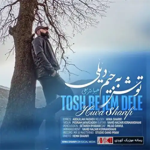 توش به جیم دیلی